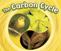 Kolobeh uhlíka - Carbon Cycle