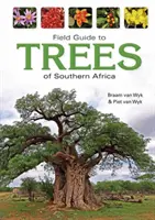Terénny sprievodca po stromoch južnej Afriky - Field Guide to Trees of Southern Africa