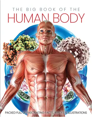 Veľká kniha ľudského tela - The Big Book of the Human Body