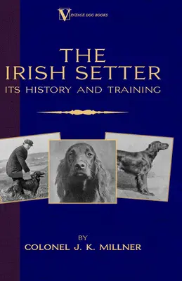 Írsky seter - jeho história a výcvik (Klasické knihy o plemene Vintage Dog Books) - The Irish Setter - Its History & Training (A Vintage Dog Books Breed Classic)