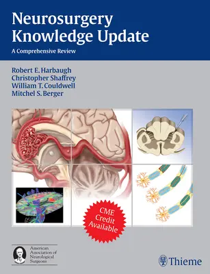 Aktualizácia poznatkov z neurochirurgie: Komplexný prehľad - Neurosurgery Knowledge Update: A Comprehensive Review