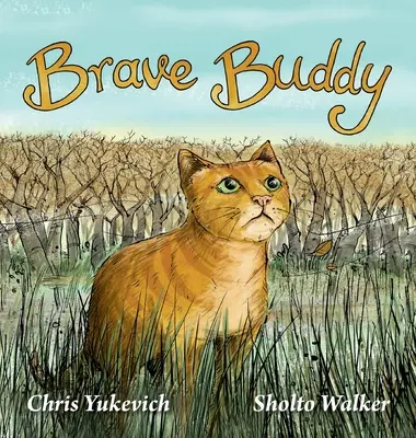 Odvážny kamarát - Brave Buddy