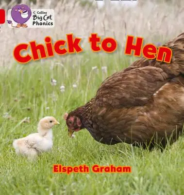 Sliepka na sliepku - Chick to Hen