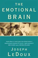 Emocionálny mozog - Emotional Brain