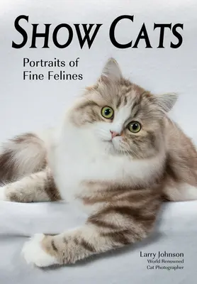Ukážte mačky: Portréty krásnych mačkovitých šeliem - Show Cats: Portraits of Fine Felines