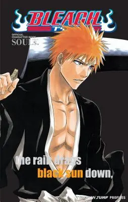 Bleach: Duše. Oficiálna kniha postáv [s nálepkami] - Bleach: Souls. Official Character Book [With Stickers]