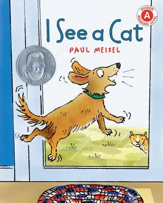 Vidím mačku - I See a Cat