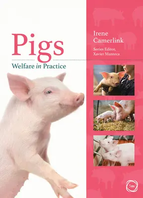 Dobré životné podmienky ošípaných v praxi - Pigs Welfare in Practice