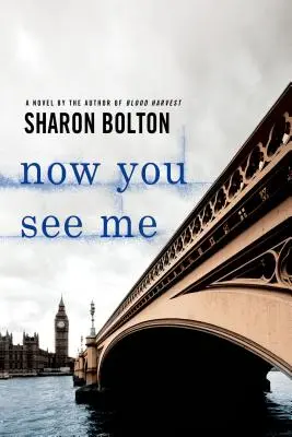 Teraz ma vidíš: román Lacey Flintovej - Now You See Me: A Lacey Flint Novel
