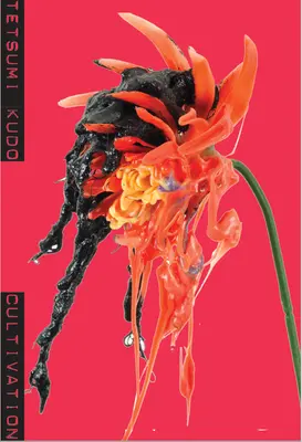 Tetsumi Kudo: Kultivácia - Tetsumi Kudo: Cultivation