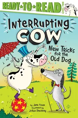 Nové triky pre starého psa - New Tricks for the Old Dog