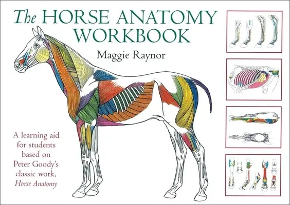 Pracovný zošit anatómie koňa: Anatómia koňa: učebná pomôcka pre študentov na základe klasického diela Petra Goodyho - The Horse Anatomy Workbook: A Learning Aid for Students Based on Peter Goody's Classic Work, Horse Anatomy