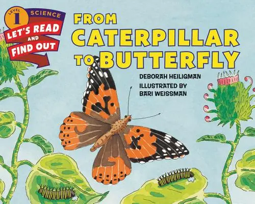 Z húsenice motýľom - From Caterpillar to Butterfly