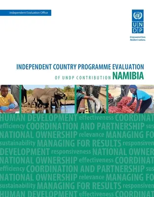 Hodnotenie výsledkov rozvoja - Namíbia: Nezávislé hodnotenie príspevku k rozvojovému programu pre jednotlivé krajiny - Assessment of Development Results - Namibia: Independent Country Programme Evaluation of Undp Contribution