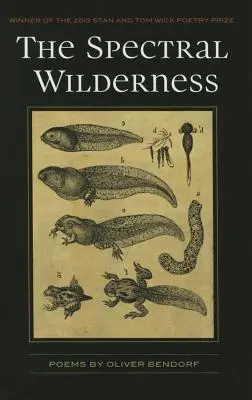 Spektrálna divočina - The Spectral Wilderness