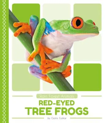 Červenooké stromové žaby - Red-Eyed Tree Frogs