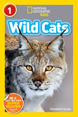 Divoké mačky - Wild Cats