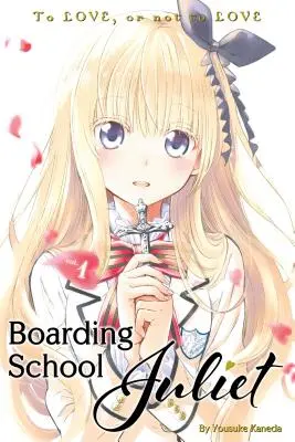 Internátna škola Juliet 1 - Boarding School Juliet 1