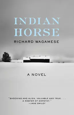 Indiánsky kôň - Indian Horse