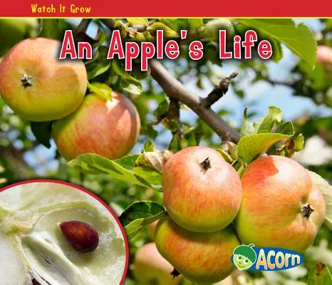 Život jablka - An Apple's Life