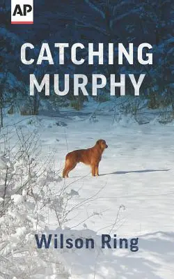 Chytiť Murphyho - Catching Murphy