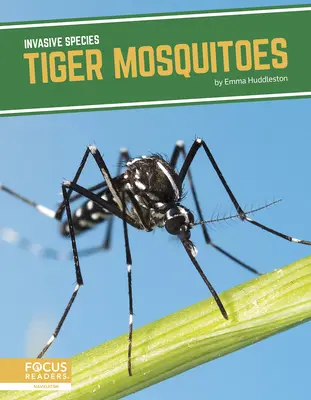 Tigrí komár - Tiger Mosquitoes