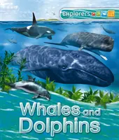Prieskumníci: Veľryby a delfíny - Explorers: Whales and Dolphins