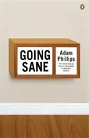 Ako sa dostať do príčetnosti - Going Sane