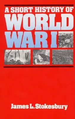 Krátke dejiny prvej svetovej vojny - A Short History of World War I