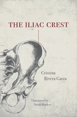 Iliacký hrebeň - The Iliac Crest