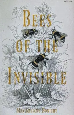 Neviditeľné včely - Bees of the Invisible