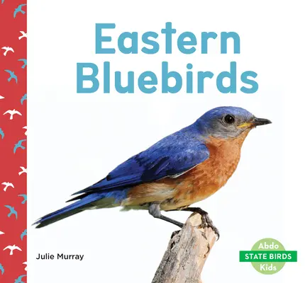 Východné modré vtáky - Eastern Bluebirds