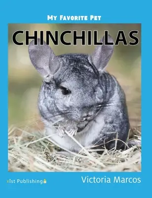 Moje obľúbené domáce zviera: Činčily - My Favorite Pet: Chinchillas