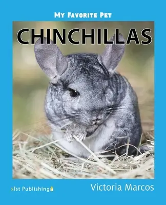 Moje obľúbené domáce zviera: Činčily - My Favorite Pet: Chinchillas