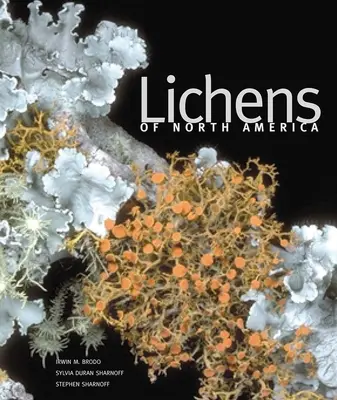 Lišajníky Severnej Ameriky - Lichens of North America