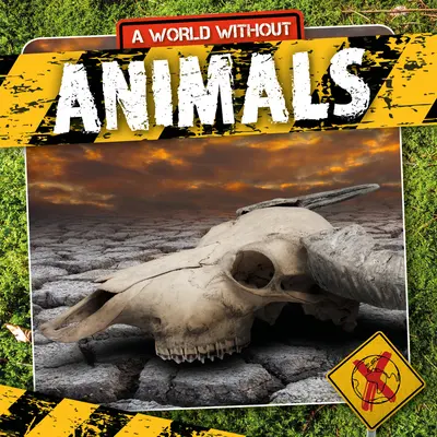 Zvieratá - Animals