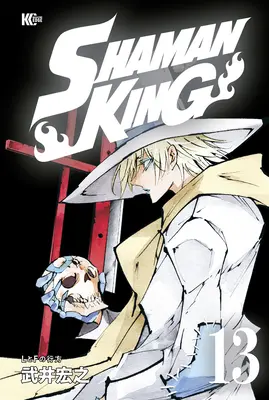 Shaman King Omnibus 6 (zv. 16-18) - Shaman King Omnibus 6 (Vol. 16-18)