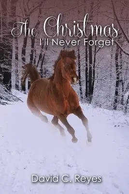 Vianoce, na ktoré nikdy nezabudnem - The Christmas I'll Never Forget
