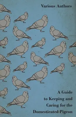 Príručka o chove a starostlivosti o holuba domáceho - A Guide to Keeping and Caring for the Domesticated Pigeon