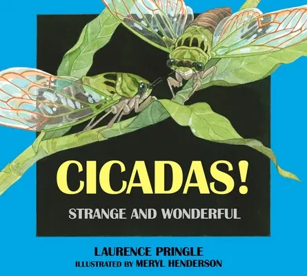 Cikády! Podivné a zázračné - Cicadas!: Strange and Wonderful
