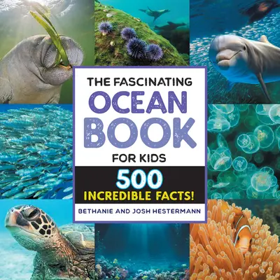Fascinujúca kniha o oceánoch pre deti: 500 neuveriteľných faktov! - The Fascinating Ocean Book for Kids: 500 Incredible Facts!