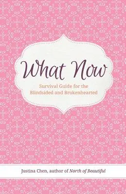 Čo teraz: Príručka na prežitie pre zaslepených a zlomených - What Now: Survival Guide for the Blindsided and Brokenhearted