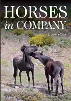 Kone v spoločnosti - Horses in Company