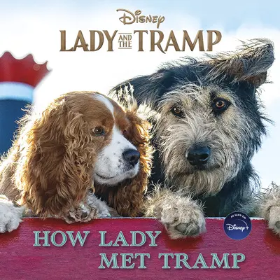 Dáma a tulák: Ako Lady stretla Tuláka - Lady and the Tramp: How Lady Met Tramp