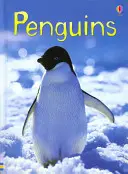 Tučniaky - Penguins