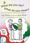Čo si povedal? Čo tým myslíš?: Ilustrovaný sprievodca na pochopenie metafor - What Did You Say? What Do You Mean?: An Illustrated Guide to Understanding Metaphors