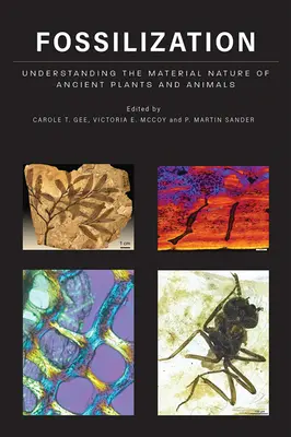 Fosilizácia: Pochopenie materiálnej podstaty starovekých rastlín a živočíchov - Fossilization: Understanding the Material Nature of Ancient Plants and Animals