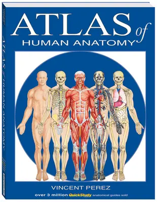 Atlas anatómie človeka - Atlas of Human Anatomy