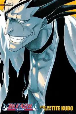 Bleach, zväzky 13-15 - Bleach, Volumes 13-15