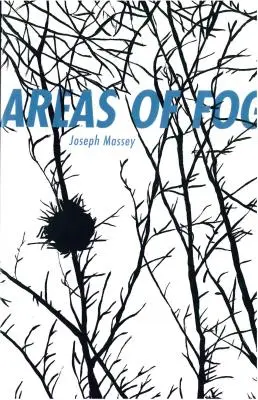 Oblasti hmly - Areas of Fog